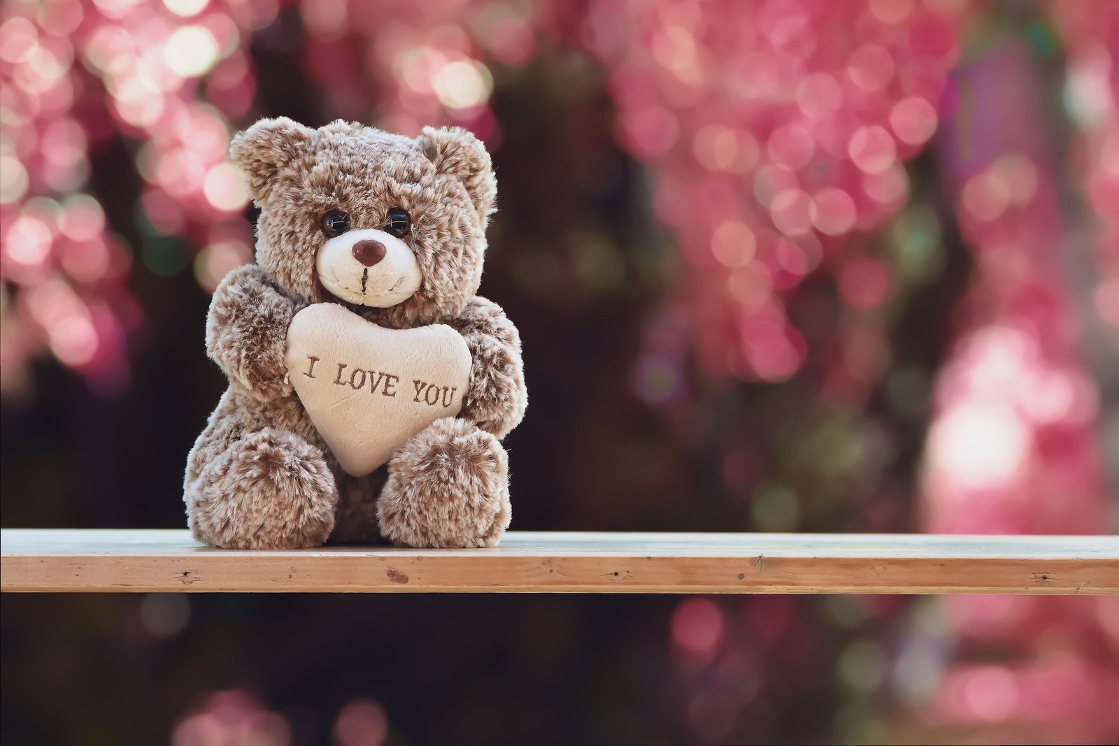 10th February 2024 Teddy Day HD Photos